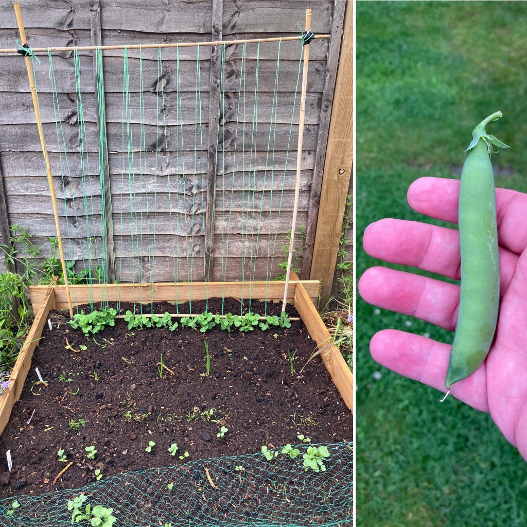 There was an attempt to…be green fingered