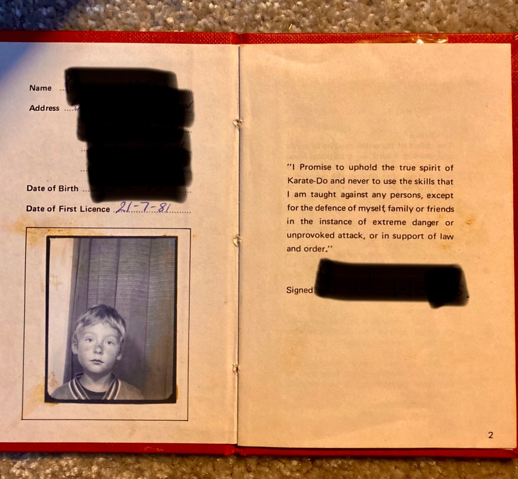 There was an attempt to…know Kung Fu (Part 1 of&nbsp;2)